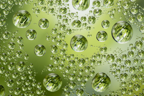 haiku - senryu - tanka - kyoka