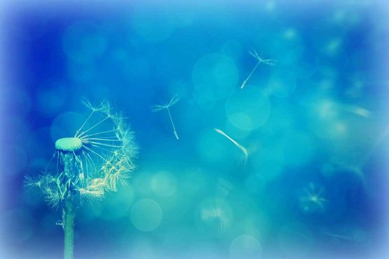fantasy - science fiction