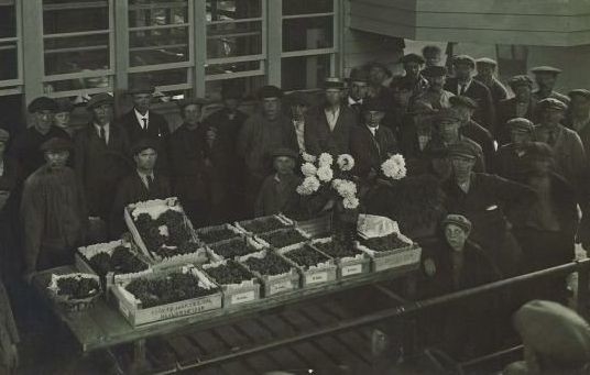 familie - streekgeschiedenis