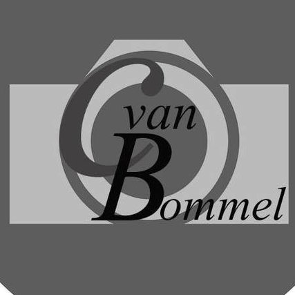 Constant van Bommel