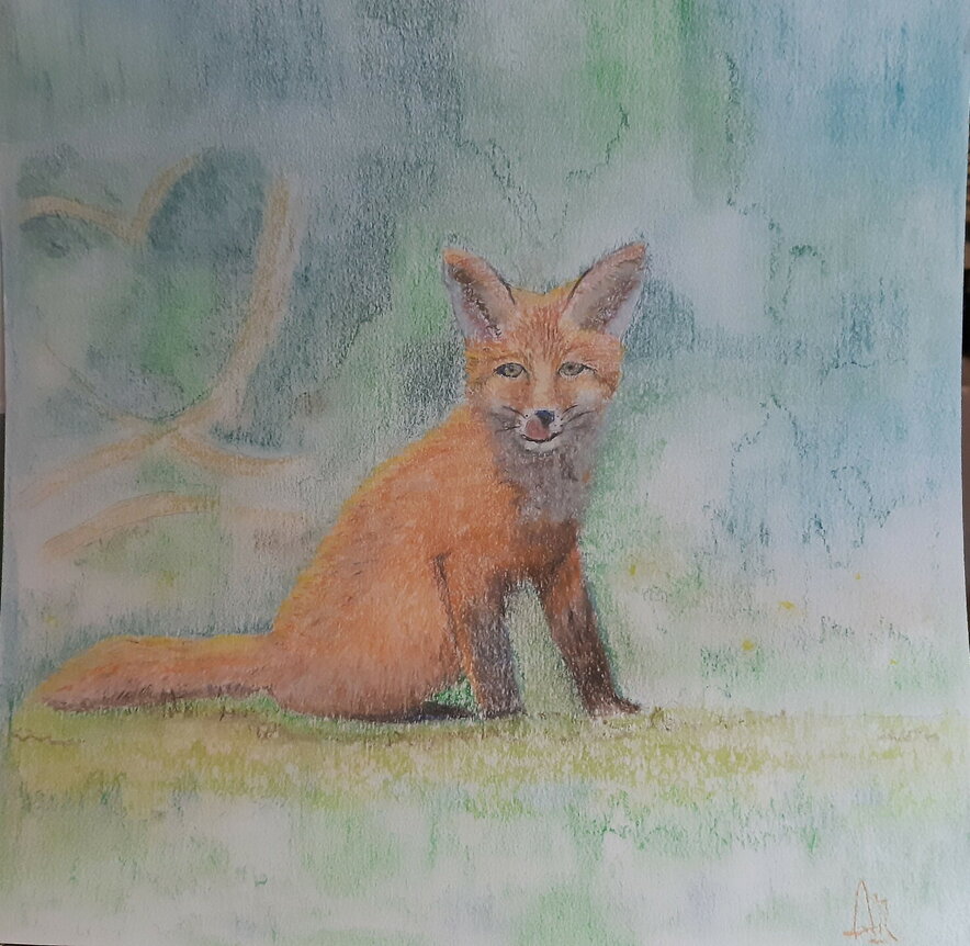 Anne Marie Berntsen - ANnA