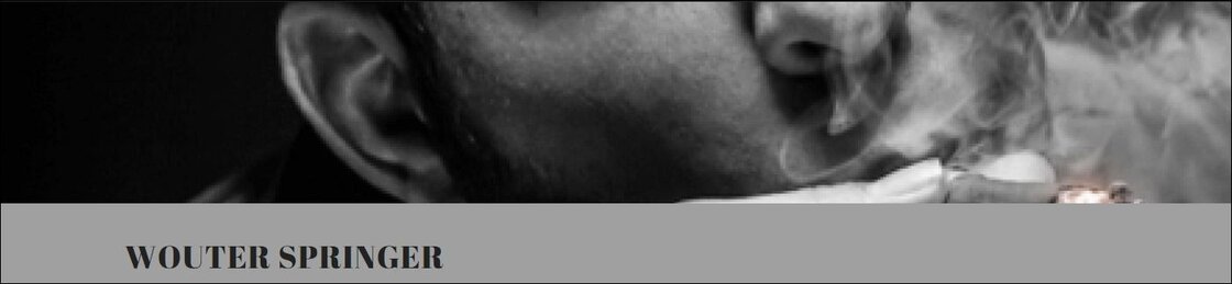 Wouter Springer