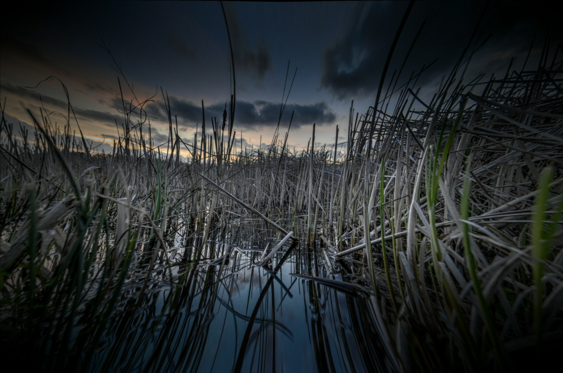 Edwin P. C. Zonneveld