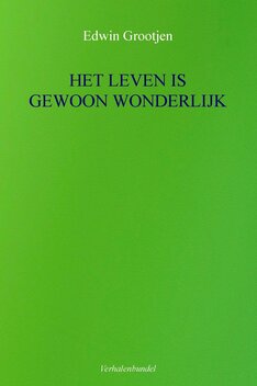 Het leven is gewoon wonderlijk | Edwin Grootjen