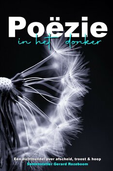 Po&euml;zie in het donker | Samensteller Gerard Rozeboom en vele andere dichters