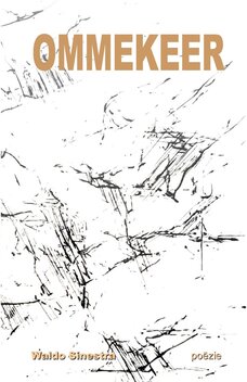 Ommekeer | Waldo Sinestra