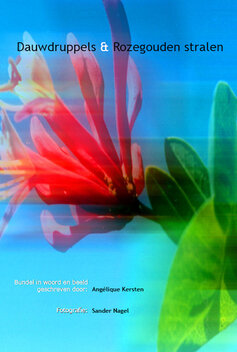 Dauwdruppels &amp; Rozegoudenstralen | Ang&eacute;lique Kersten