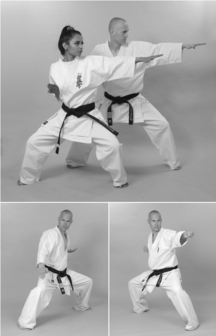 Kyokushin Karate | Kata Syllabus | Marcel Smit