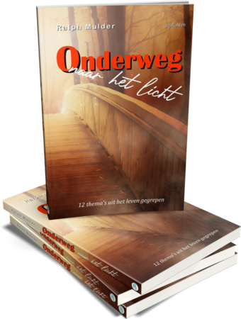Onderweg naar het licht - 12 thema's uit het leven gegrepen| Ralph Mulder