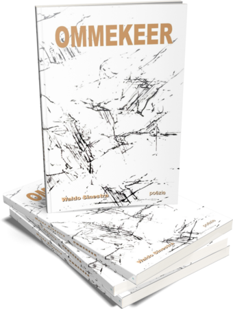 Ommekeer | Waldo Sinestra