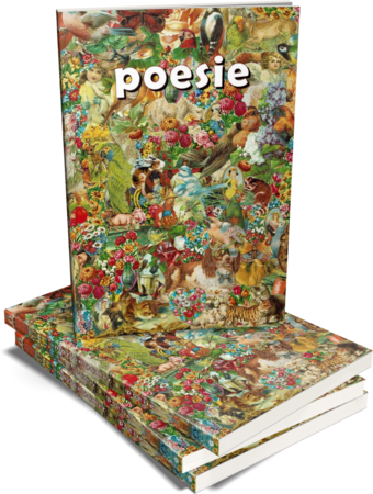 poesie | Marjon Zomer