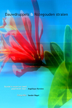 Dauwdruppels & Rozegoudenstralen | Ang&eacute;lique Kersten