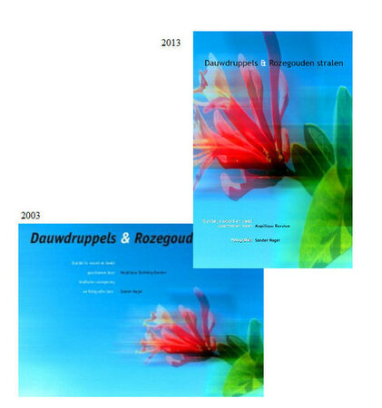 Dauwdruppels & Rozegoudenstralen | Ang&eacute;lique Kersten