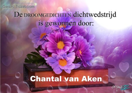 Droomgedichten | diverse auteurs | Gerard Rozeboom | Chantal van Aken