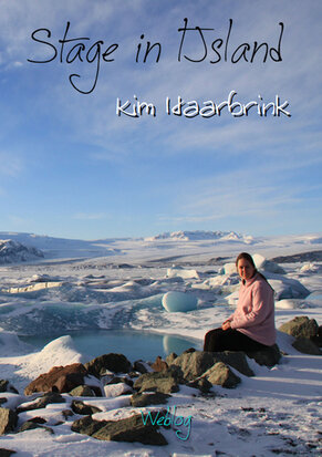  Stage in IJsland | Kim Haarbrink