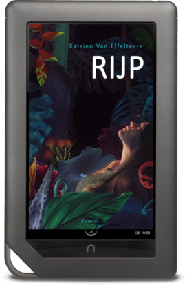 ePub | RIJP | Katrien Van Effelterre