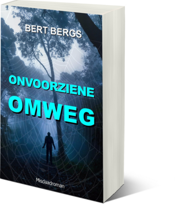 ONVOORZIENE OMWEG | Bert Bergs