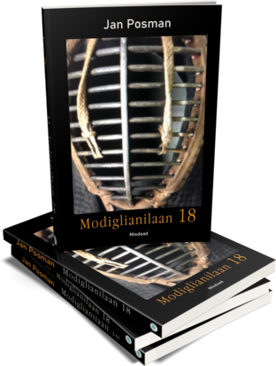 Modiglianilaan 18 | Jan Posman