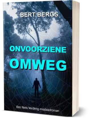 ONVOORZIENE OMWEG | Bert Bergs