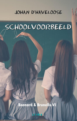 SCHOOLVOORBEELD | Johan D'Haveloose