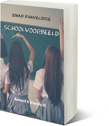 SCHOOLVOORBEELD | Johan D'Haveloose