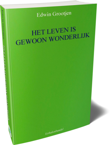 Het leven is gewoon wonderlijk | Edwin Grootjen