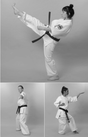Kyokushin Karate | Kata Syllabus | Marcel Smit