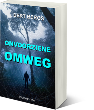 ONVOORZIENE OMWEG | Bert Bergs