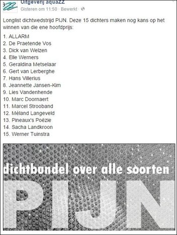 PIJN | dichtbundel over alle soorten pijn | diverse dichters