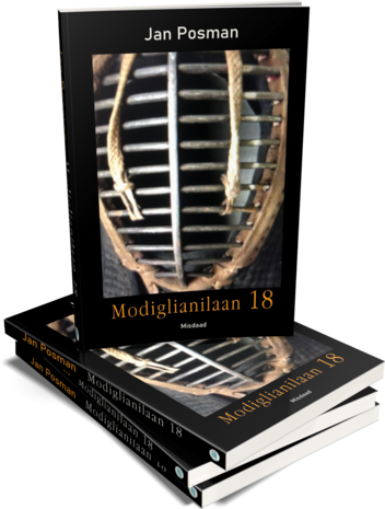 Modiglianilaan 18 | Jan Posman