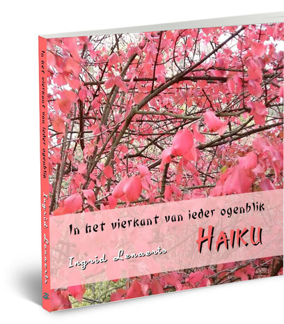 In het vierkant van ieder ogenblik / Haiku | Ingrid Lenaerts