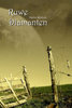 Ruwe diamanten | Martin Wichink