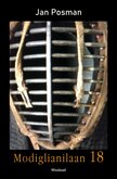 Modiglianilaan 18 | Jan Posman