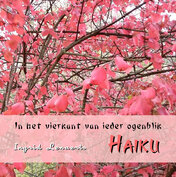 In het vierkant van ieder ogenblik / Haiku | Ingrid Lenaerts